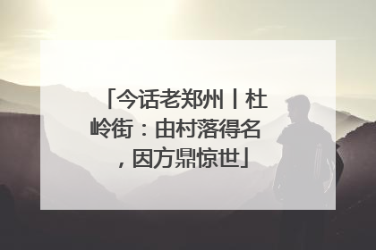今话老郑州丨杜岭街：由村落得名，因方鼎惊世