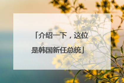 介绍一下，这位是韩国新任总统