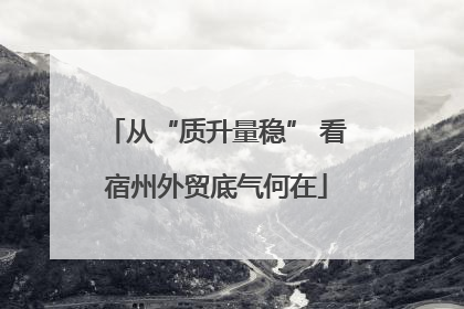 从“质升量稳” 看宿州外贸底气何在