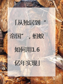 从独居到“帝国”，蚂蚁如何用1.6亿年实现