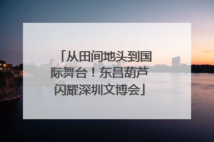 从田间地头到国际舞台！东昌葫芦闪耀深圳文博会