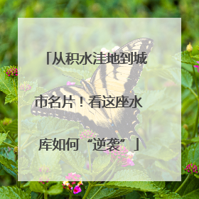 从积水洼地到城市名片！看这座水库如何“逆袭”