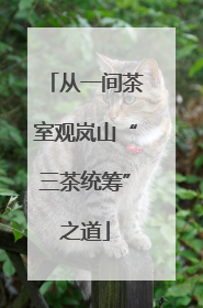 从一间茶室观岚山“三茶统筹”之道