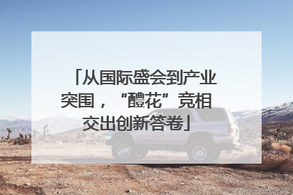从国际盛会到产业突围，“醴花”竞相交出创新答卷