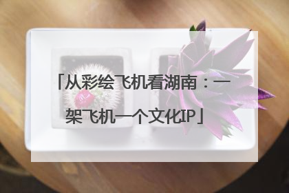 从彩绘飞机看湖南：一架飞机一个文化IP