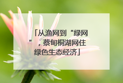 从渔网到“绿网”，蔡甸桐湖网住绿色生态经济