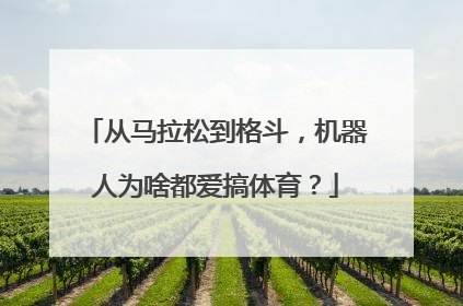 从马拉松到格斗，机器人为啥都爱搞体育？