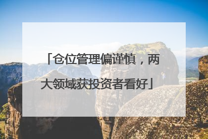 仓位管理偏谨慎，两大领域获投资者看好