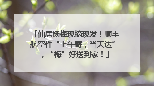 仙居杨梅现摘现发！顺丰航空件“上午寄，当天达”，“梅”好送到家！