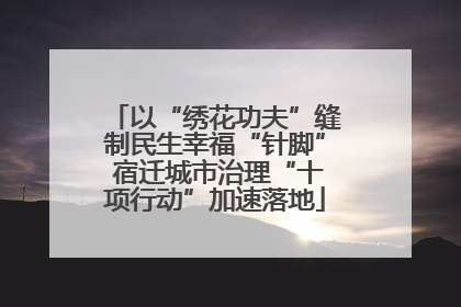 以“绣花功夫”缝制民生幸福“针脚” 宿迁城市治理“十项行动”加速落地