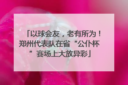 以球会友，老有所为！郑州代表队在省“公仆杯”赛场上大放异彩