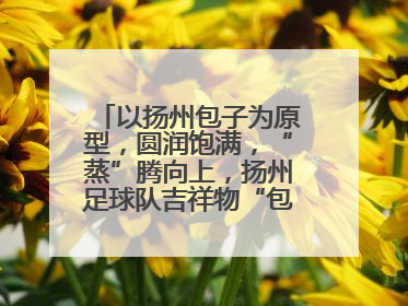 以扬州包子为原型，圆润饱满，“蒸”腾向上，扬州足球队吉祥物“包赢”亮相即售罄
