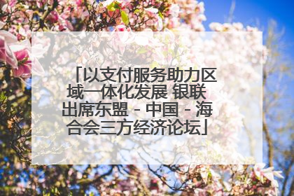 以支付服务助力区域一体化发展 银联出席东盟－中国－海合会三方经济论坛