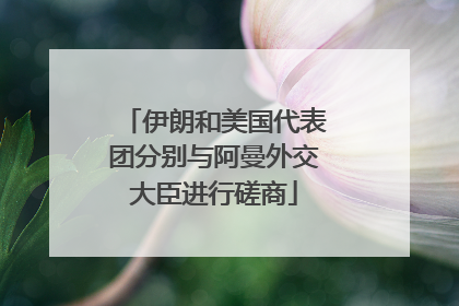 伊朗和美国代表团分别与阿曼外交大臣进行磋商