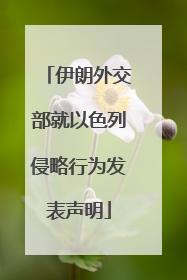 伊朗外交部就以色列侵略行为发表声明