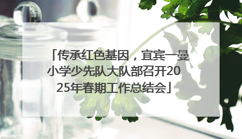 传承红色基因，宜宾一曼小学少先队大队部召开2025年春期工作总结会