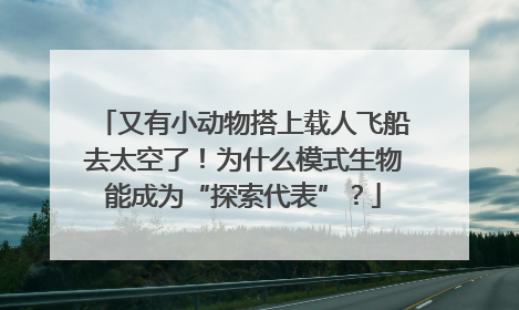 又有小动物搭上载人飞船去太空了！为什么模式生物能成为“探索代表”？