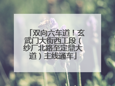 双向六车道！玄武门大街西工段（纱厂北路至定鼎大道）主线通车