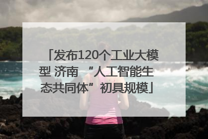 发布120个工业大模型 济南 “人工智能生态共同体”初具规模