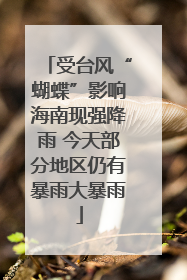 受台风“蝴蝶”影响海南现强降雨 今天部分地区仍有暴雨大暴雨