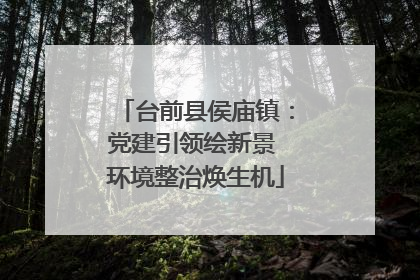 台前县侯庙镇：党建引领绘新景 环境整治焕生机