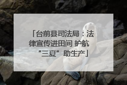 台前县司法局：法律宣传进田间 护航“三夏”助生产