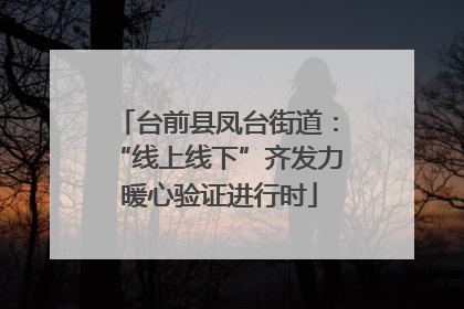 台前县凤台街道：“线上线下”齐发力 暖心验证进行时