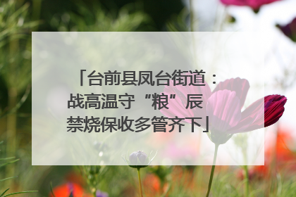 台前县凤台街道：战高温守“粮”辰 禁烧保收多管齐下