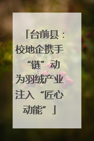 台前县：校地企携手“链”动 为羽绒产业注入“匠心动能”