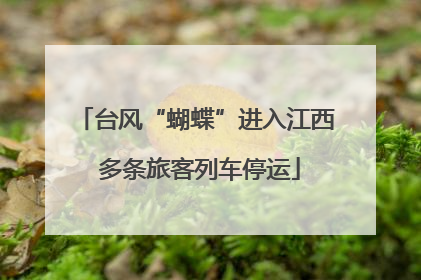 台风“蝴蝶”进入江西 多条旅客列车停运