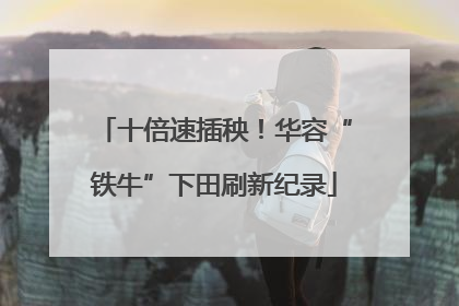 十倍速插秧！华容“铁牛”下田刷新纪录