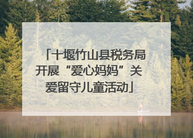 十堰竹山县税务局开展“爱心妈妈”关爱留守儿童活动