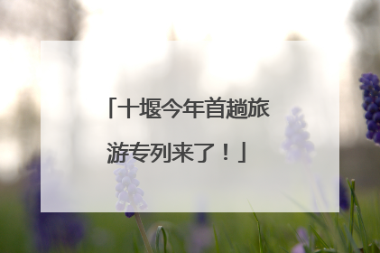 十堰今年首趟旅游专列来了！