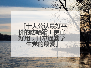 十大公认最好平价的防晒霜！便宜好用，日常通勤学生党的蕞爱