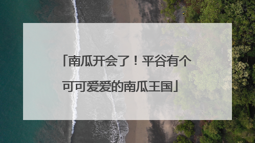 南瓜开会了！平谷有个可可爱爱的南瓜王国
