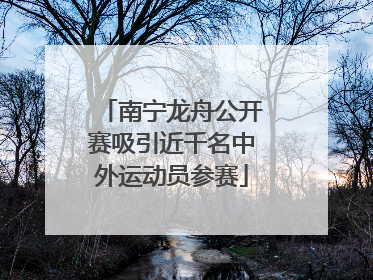 南宁龙舟公开赛吸引近千名中外运动员参赛