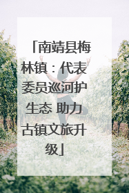 南靖县梅林镇：代表委员巡河护生态 助力古镇文旅升级