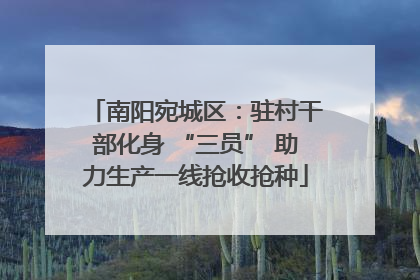 南阳宛城区：驻村干部化身 “三员” 助力生产一线抢收抢种