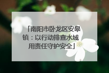 南阳市卧龙区安皋镇：以行动排查水域 用责任守护安全