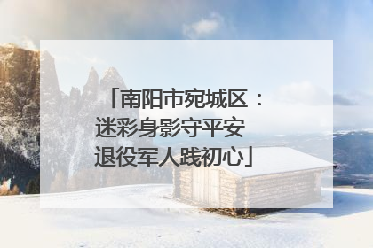 南阳市宛城区：迷彩身影守平安 退役军人践初心
