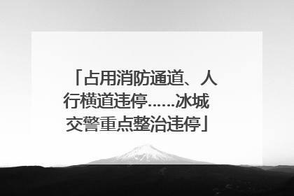 占用消防通道、人行横道违停……冰城交警重点整治违停