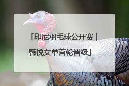 印尼羽毛球公开赛｜韩悦女单首轮晋级