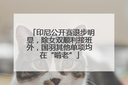 印尼公开赛退步明显，除女双顺利接班外，国羽其他单项均在“啃老”