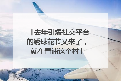 去年引爆社交平台的绣球花节又来了，就在青浦这个村