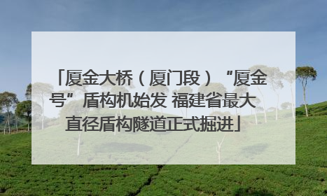 厦金大桥（厦门段）“厦金号”盾构机始发 福建省最大直径盾构隧道正式掘进