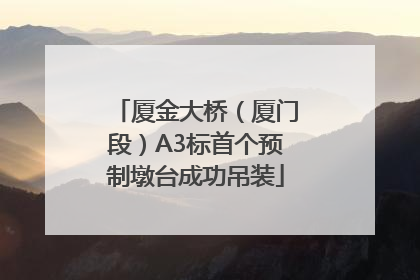 厦金大桥（厦门段）A3标首个预制墩台成功吊装
