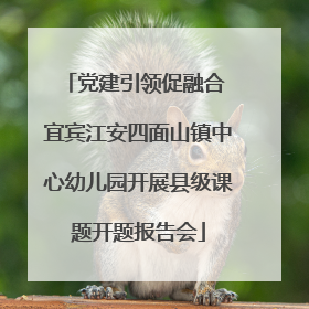 党建引领促融合 宜宾江安四面山镇中心幼儿园开展县级课题开题报告会