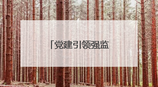 党建引领强监管 守护民生“水电气”