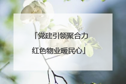 党建引领聚合力 红色物业暖民心