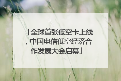 全球首张低空卡上线，中国电信低空经济合作发展大会启幕